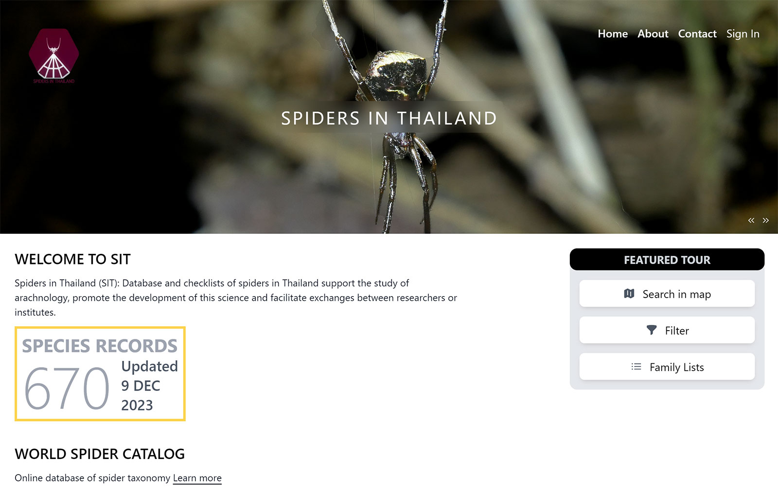 Spiders in Thailand (SIT) via spiderthailand.info: Thailand spider data ...